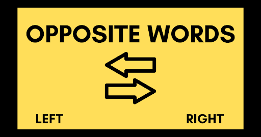 opposite words
